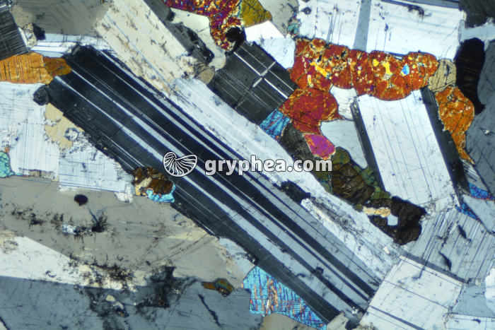 Plagioclase dans gabbro LPA x6,3 - gryphea.com